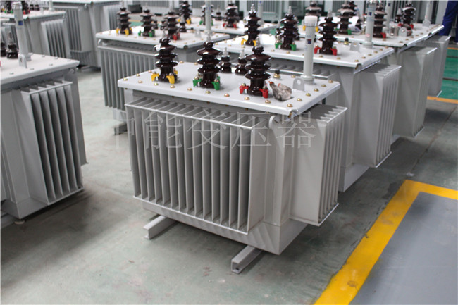 海东S22-100KVA/10KV/0.4KV变压器